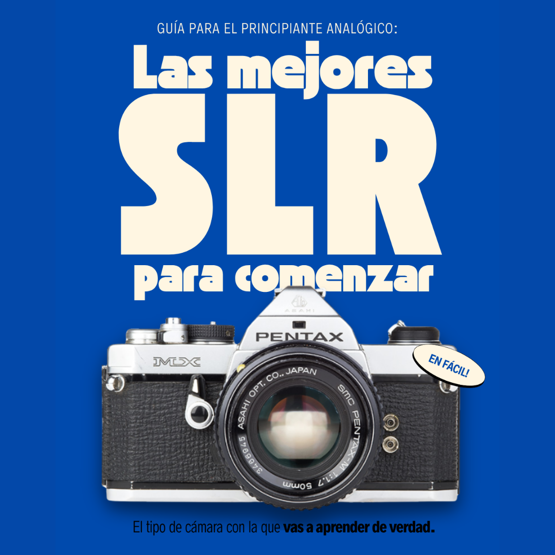 Las Mejores SLR para Comenzar